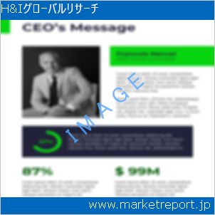 市場と産業調査レポートのイメージ
